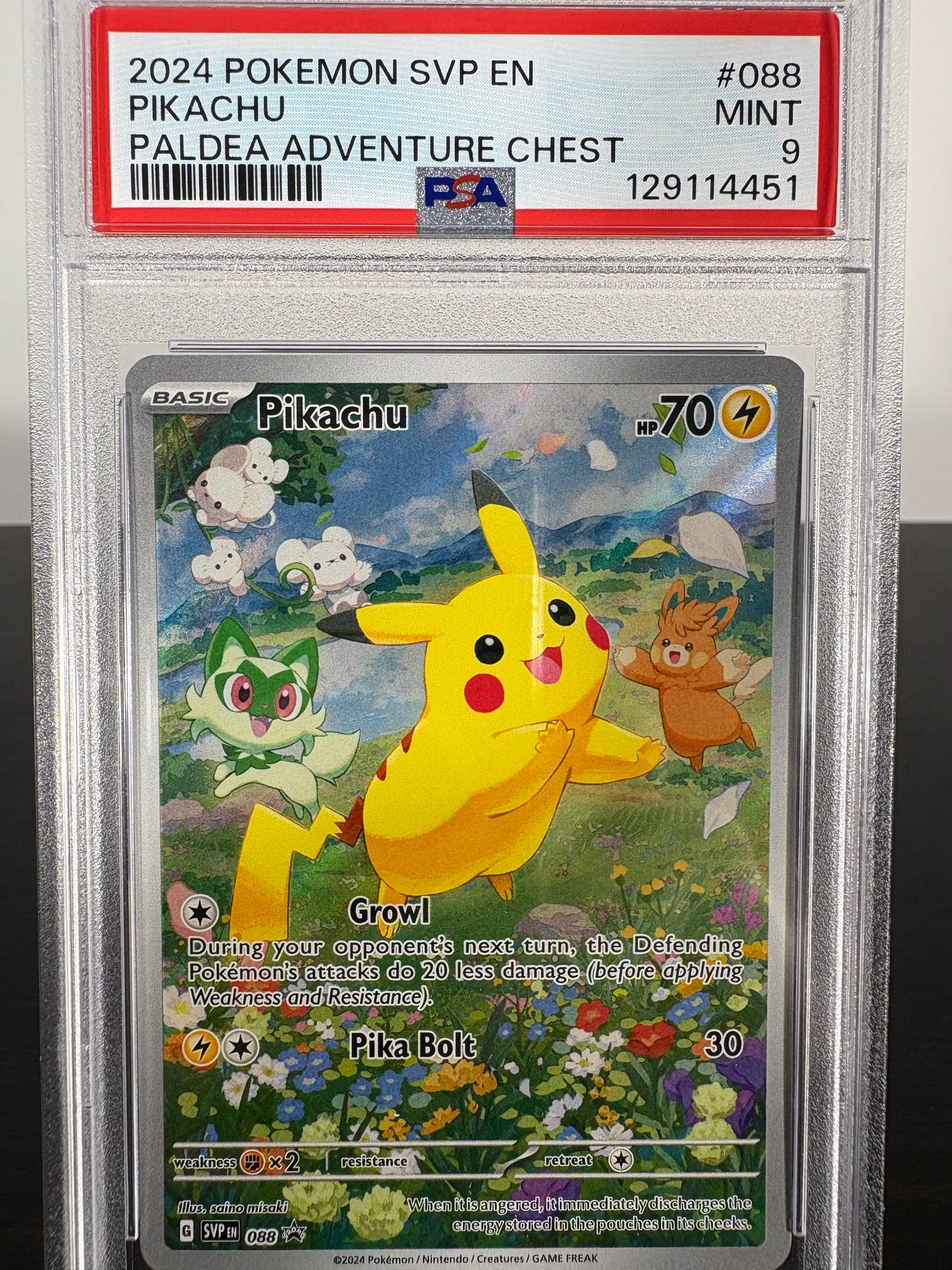 2024 Pokemon Pikachu Paldea Adventure Chest PSA 9