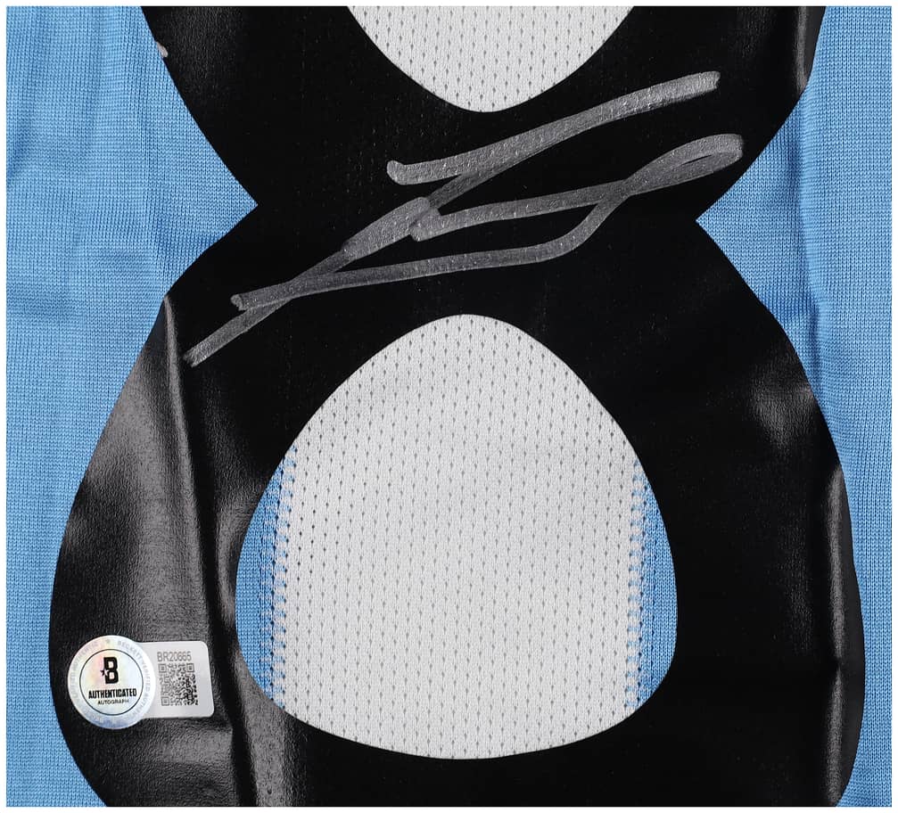 Javier Zanetti Signed Argentina Jersey